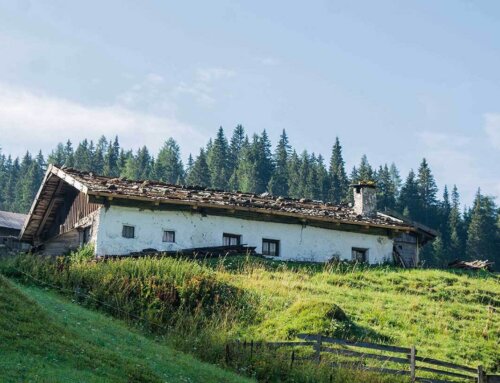 Sanierung Töchterle Alm, Obernberg